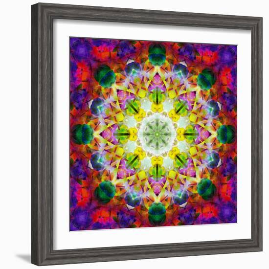 An Energetic Symmetric Onament from Flower Photographs-Alaya Gadeh-Framed Premium Photographic Print