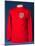 An England Shirt with International Badge, as Worn by the 1966 World Cup Winning Team-null-Mounted Giclee Print