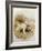 An English and a Gordon Setter-Basil Bradley-Framed Giclee Print