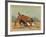 An English Bull Dog and a Corsican Blood Hound, C.1803-null-Framed Giclee Print