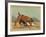 An English Bull Dog and a Corsican Blood Hound, C.1803-null-Framed Giclee Print