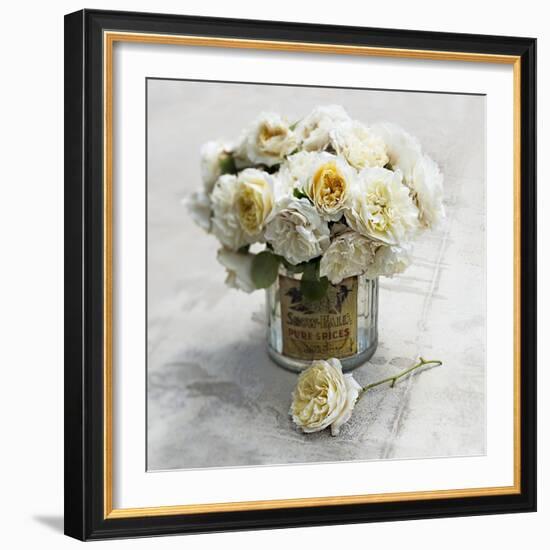 An English Rose-Valda Bailey-Framed Photographic Print