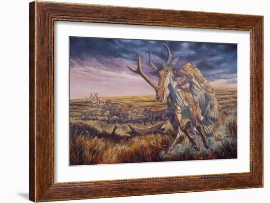 An Epicyon Attacks a Synthetoceras on the Run-null-Framed Art Print