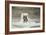 An Eskimo Watching a Seal Hole-Edward Finden-Framed Giclee Print