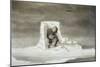 An Eskimo Watching a Seal Hole-Edward Finden-Mounted Giclee Print