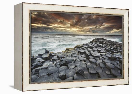 An evening view of the Giant's Causeway, UNESCO World Heritage Site, County Antrim, Ulster, Norther-Nigel Hicks-Framed Premier Image Canvas