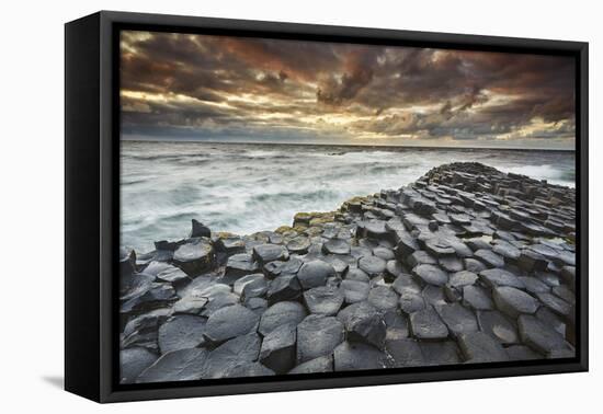 An evening view of the Giant's Causeway, UNESCO World Heritage Site, County Antrim, Ulster, Norther-Nigel Hicks-Framed Premier Image Canvas