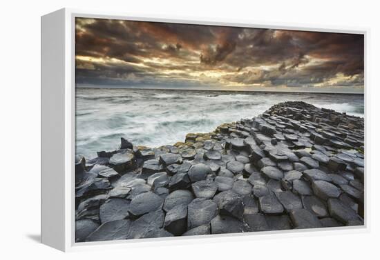 An evening view of the Giant's Causeway, UNESCO World Heritage Site, County Antrim, Ulster, Norther-Nigel Hicks-Framed Premier Image Canvas