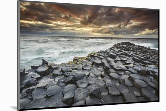 An evening view of the Giant's Causeway, UNESCO World Heritage Site, County Antrim, Ulster, Norther-Nigel Hicks-Mounted Photographic Print
