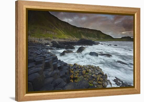 An evening view of the Giant's Causeway, UNESCO World Heritage Site, County Antrim, Ulster, Norther-Nigel Hicks-Framed Premier Image Canvas