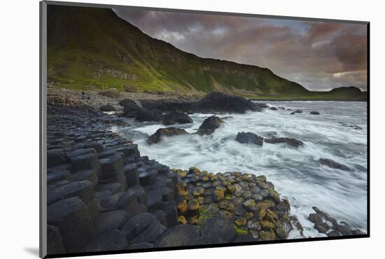 An evening view of the Giant's Causeway, UNESCO World Heritage Site, County Antrim, Ulster, Norther-Nigel Hicks-Mounted Photographic Print