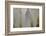 An Evening With Morandi II-Doug Chinnery-Framed Photographic Print