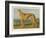 An Example of a Fallow Colour Greyhound Standing-null-Framed Art Print