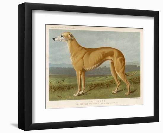 Art Print, , large