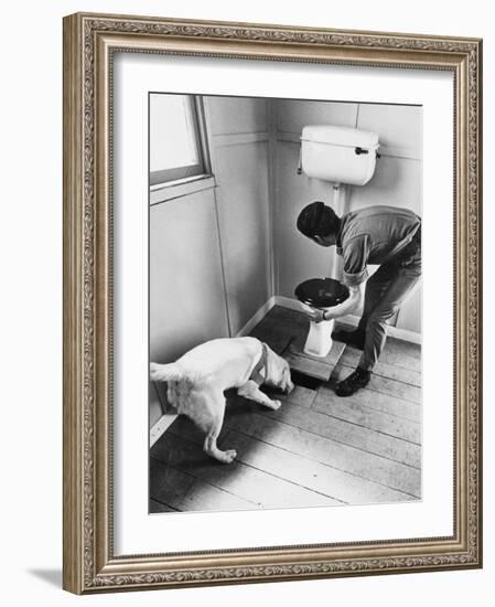 An Excited Army Sniffer Dog Sniffs under the Floorboards Near the Toilet-null-Framed Photographic Print