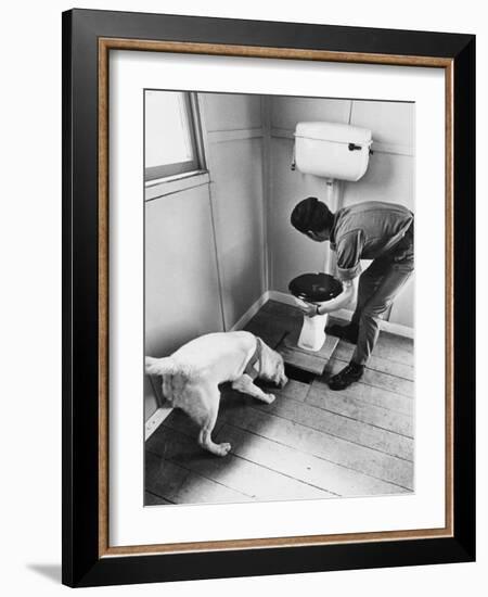 An Excited Army Sniffer Dog Sniffs under the Floorboards Near the Toilet-null-Framed Photographic Print