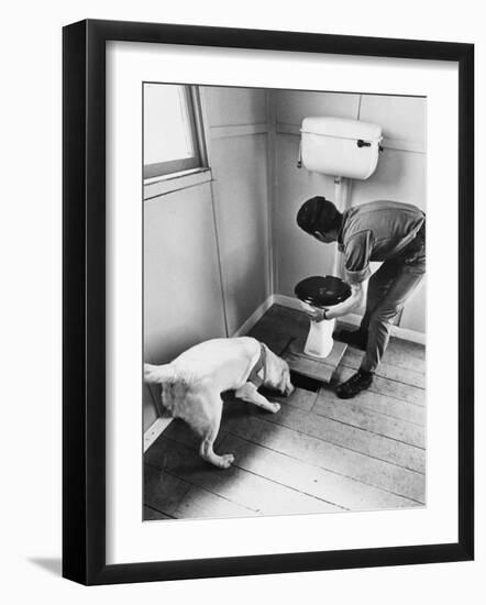 An Excited Army Sniffer Dog Sniffs under the Floorboards Near the Toilet-null-Framed Photographic Print