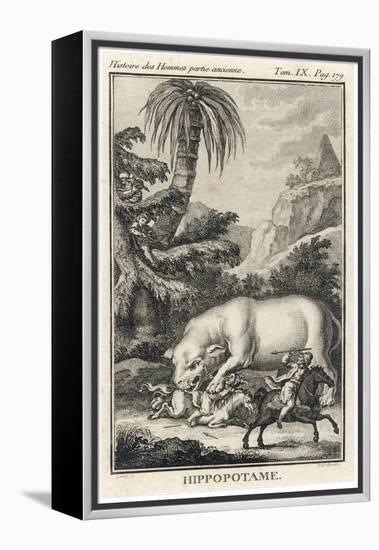 An Extraordinary Depiction of a Hippopotamus Savaging Hunters in an Exotic Landscape-G. Duclos-Framed Stretched Canvas