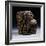 An Extremely Fine Benin Bronze Head, Uhunmwun-Elao (Middle Period)-null-Framed Giclee Print