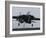 An F-14D Tomcat Comes in For An Arrested Landing On the Flight Deck of USS Theodore Roosevelt-Stocktrek Images-Framed Photographic Print