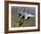 An F-15E Strike Eagle Aircraft in Flight Over Afghanistan-Stocktrek Images-Framed Photographic Print