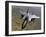 An F-15E Strike Eagle Aircraft in Flight Over Afghanistan-Stocktrek Images-Framed Photographic Print