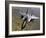 An F-15E Strike Eagle Aircraft in Flight Over Afghanistan-Stocktrek Images-Framed Photographic Print