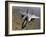 An F-15E Strike Eagle Aircraft in Flight Over Afghanistan-Stocktrek Images-Framed Photographic Print