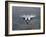 An F-15E Strike Eagle Flies Watch Over the Skies of Afghanistan-Stocktrek Images-Framed Photographic Print