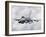 An F-16 from the Colorado Air National Guard in Flight over Brazil-Stocktrek Images-Framed Photographic Print