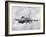 An F-16 from the Colorado Air National Guard in Flight over Brazil-Stocktrek Images-Framed Photographic Print