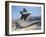 An F-22 Raptor Aircraft Turns Away While An F-15 Eagle Flies the Approach Over Nevada-Stocktrek Images-Framed Photographic Print