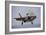 An F-35 Lightning Ii Prepares for Landing-null-Framed Photographic Print