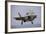 An F-35 Lightning Ii Prepares for Landing-null-Framed Photographic Print