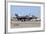 An F-35B Lightning Ii Landing at Marine Corps Air Station Yuma, Arizona-Stocktrek Images-Framed Photographic Print