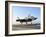 An F-35B Lightning II Lifts Off the Flight Deck of USS Wasp-Stocktrek Images-Framed Photographic Print