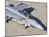 An F/A-18 Super Hornet of the U.S. Navy Air Test and Evaluation Squadron-Stocktrek Images-Mounted Photographic Print