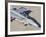 An F/A-18 Super Hornet of the U.S. Navy Air Test and Evaluation Squadron-Stocktrek Images-Framed Photographic Print