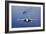 An F-A-18E Super Hornet Flying Above USS John C. Stennis-null-Framed Photographic Print