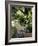 An Ideal Place for Reflection-null-Framed Photographic Print