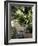 An Ideal Place for Reflection-null-Framed Photographic Print