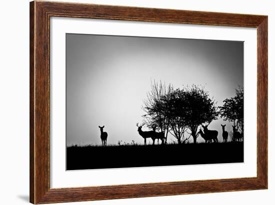 An Image Of Some Deer In The Morning Mist-magann-Framed Art Print