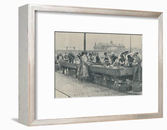 'An Important Part of the Industry. Scottish girls busy gutting at Yarmouth', 1937-Unknown-Framed Photographic Print