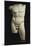 An Important Roman Marble Torso of the Diadumenos of Polykeitos-null-Mounted Giclee Print