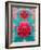 An Impressionistic and Dreamy Floral Montage-Alaya Gadeh-Framed Photographic Print