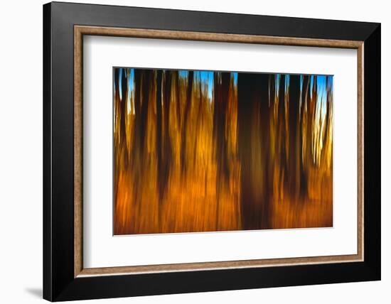 An Impressionistic in Camera Blur of Colorful Autumn Trees-Rona Schwarz-Framed Photographic Print