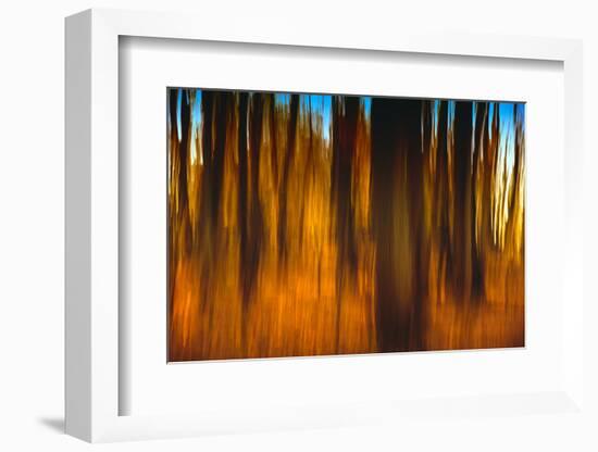 An Impressionistic in Camera Blur of Colorful Autumn Trees-Rona Schwarz-Framed Photographic Print