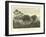 An Indian Clearing and Hut at Polohuatini-Édouard Riou-Framed Giclee Print