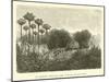 An Indian Clearing and Hut at Polohuatini-Édouard Riou-Mounted Giclee Print