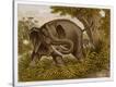 Stretched Canvas Print